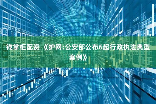 钱掌柜配资 《护网:公安部公布6起行政执法典型案例》