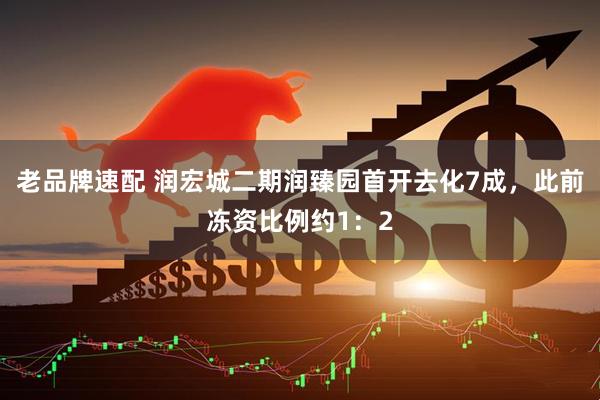 老品牌速配 润宏城二期润臻园首开去化7成，此前冻资比例约1：2