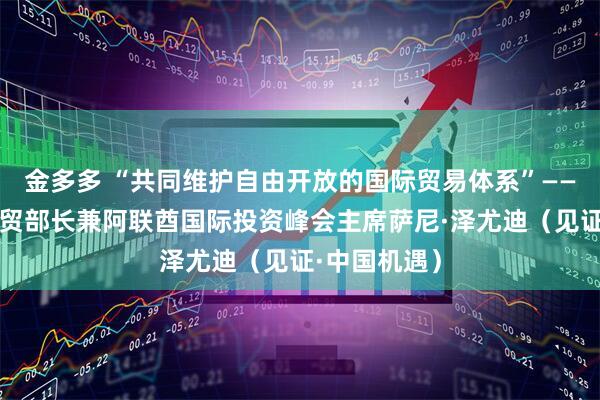 金多多 “共同维护自由开放的国际贸易体系”——访阿联酋外贸部长兼阿联酋国际投资峰会主席萨尼·泽尤迪（见证·中国机遇）