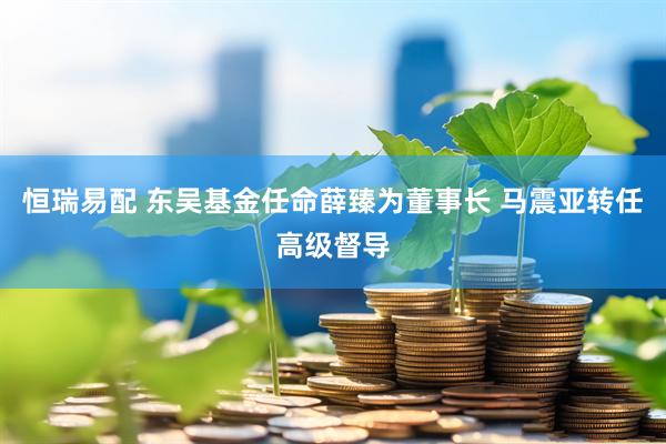 恒瑞易配 东吴基金任命薛臻为董事长 马震亚转任高级督导